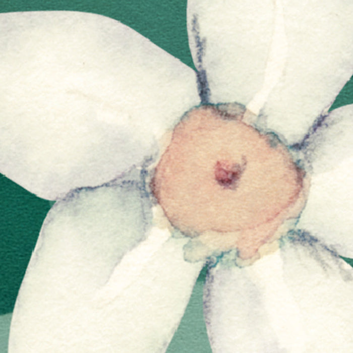 Komar NEU | Digitaldruck Vlies Fototapete - The Flower Duet - Größe 400 x 250 cm