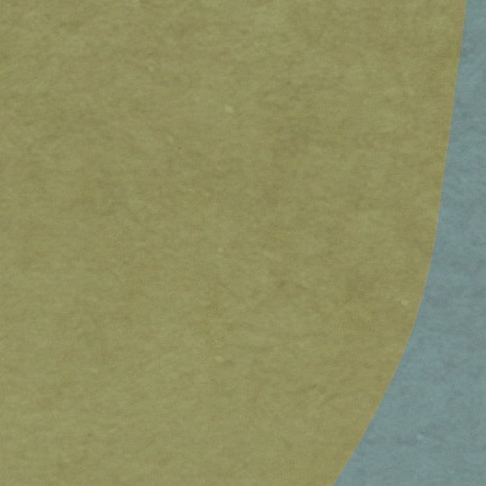 Komar NEU | Digitaldruck Vlies Fototapete - Form Symbiotic - Größe 400 x 250 cm