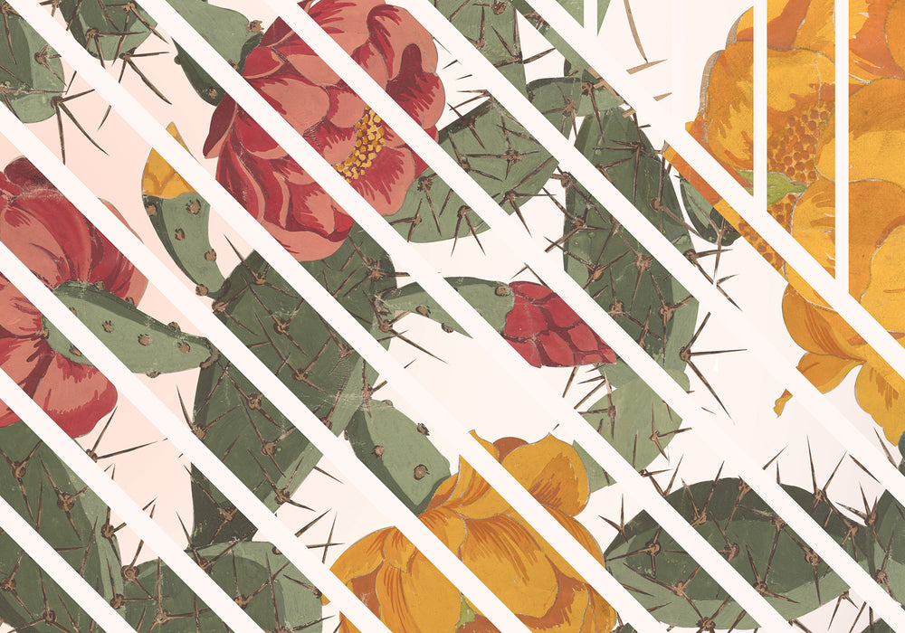 Digitaldruck Vlies Fototapete | Cactus | 300 x 280 cm