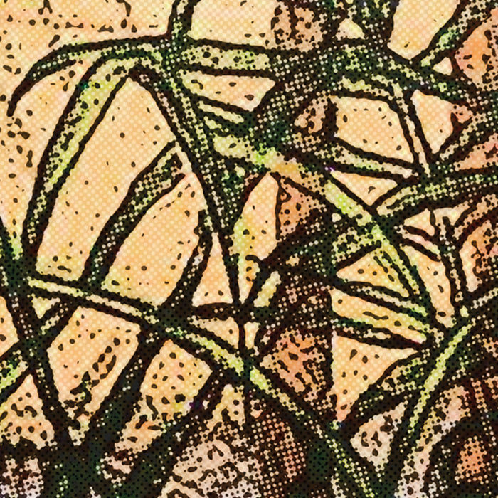 Digitaldruck Vlies Fototapete | Oasis | 350 x 250 cm