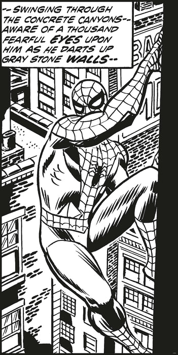 Digitaldruck Vlies Fototapete | Spider | Man Classic Climb | 100 x 200 cm
