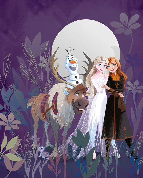 Digitaldruck Vlies Fototapete | Frozen Full Moon Hike | 200 x 250 cm