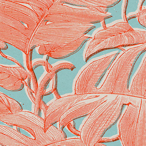 Digitaldruck Vlies Fototapete | Coralla | 300 x 280 cm