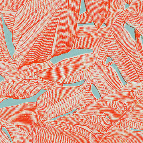 Digitaldruck Vlies Fototapete | Coralla | 300 x 280 cm