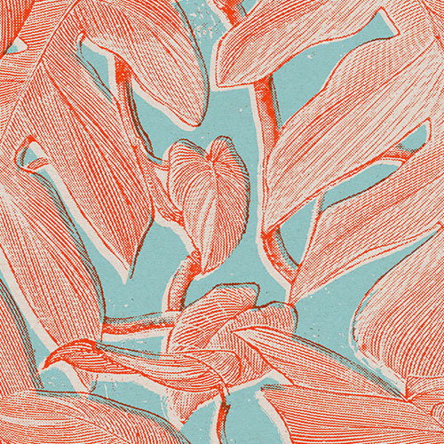 Digitaldruck Vlies Fototapete | Coralla | 300 x 280 cm