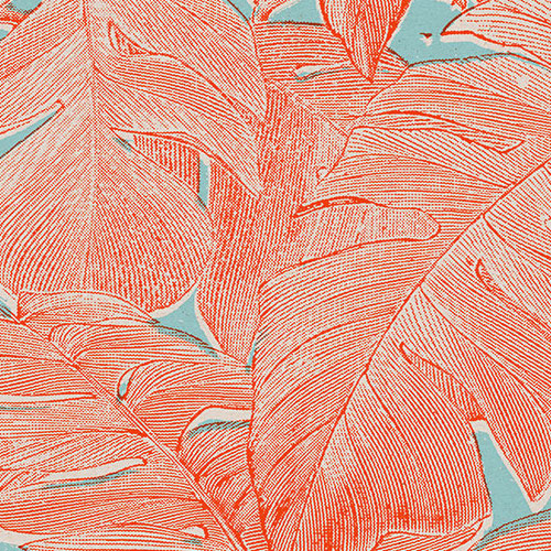 Digitaldruck Vlies Fototapete | Coralla | 300 x 280 cm