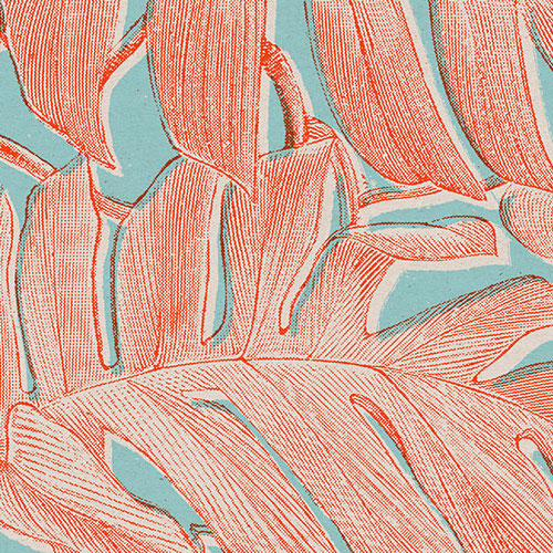 Digitaldruck Vlies Fototapete | Coralla | 300 x 280 cm