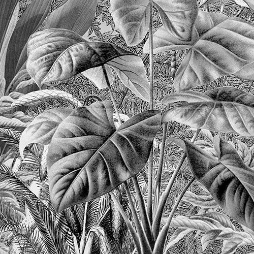 Digitaldruck Vlies Fototapete | Roraima | 350 x 280 cm
