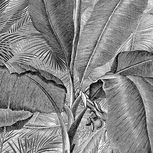 Digitaldruck Vlies Fototapete | Roraima | 350 x 280 cm