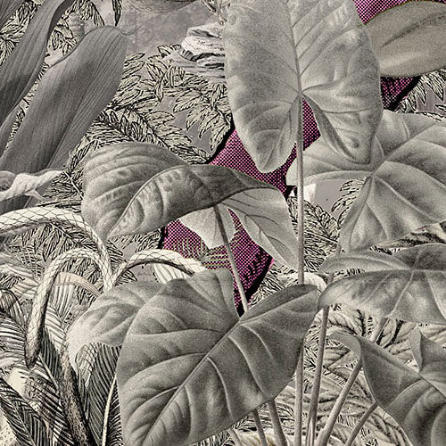 Digitaldruck Vlies Fototapete | Pinky | 350 x 280 cm