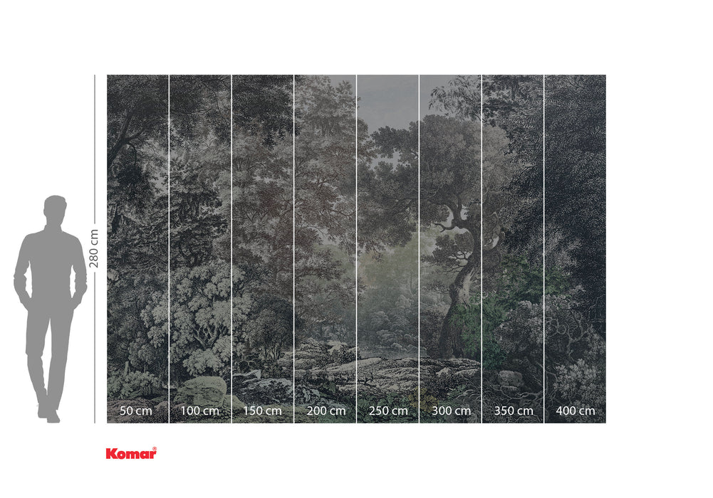 Komar NEU | Digitaldruck Vlies Fototapete - Wood Wide Web - Größe 400 x 280 cm