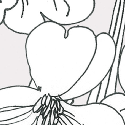 Komar NEU | Digitaldruck Vlies Fototapete - Magic Meadow - Größe 200 x 250 cm