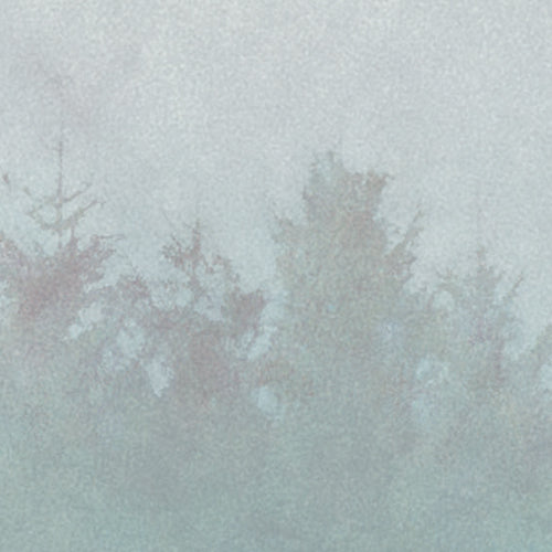 Komar NEU | Digitaldruck Vlies Fototapete - Hazy Hush - Größe 200 x 250 cm