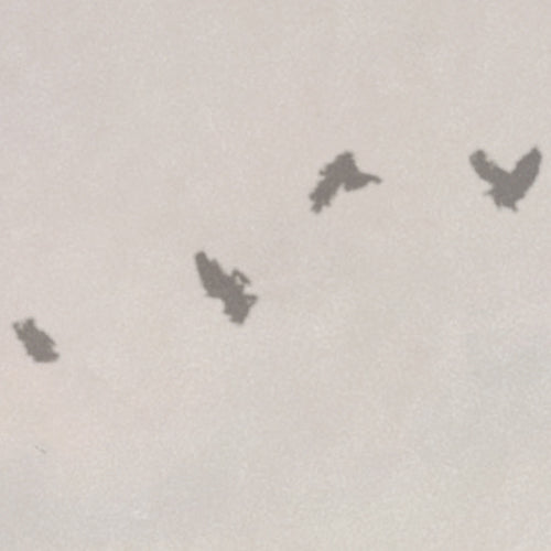 Komar NEU | Digitaldruck Vlies Fototapete - Hazy Hush - Größe 200 x 250 cm