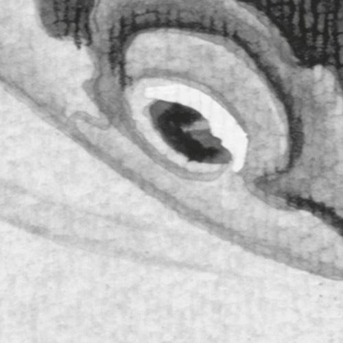 Komar NEU | Digitaldruck Vlies Fototapete - Perfect Pond - Größe 200 x 250 cm