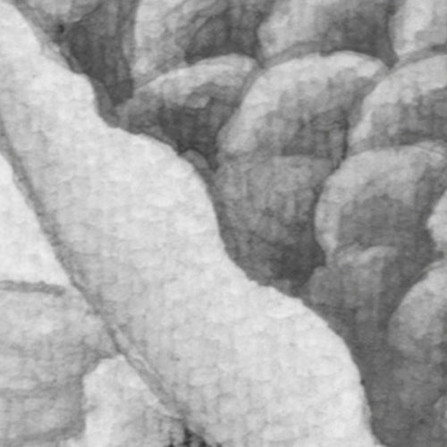 Komar NEU | Digitaldruck Vlies Fototapete - Perfect Pond - Größe 200 x 250 cm