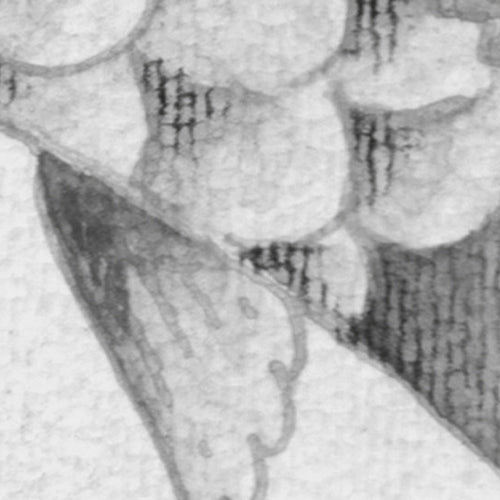 Komar NEU | Digitaldruck Vlies Fototapete - Perfect Pond - Größe 200 x 250 cm