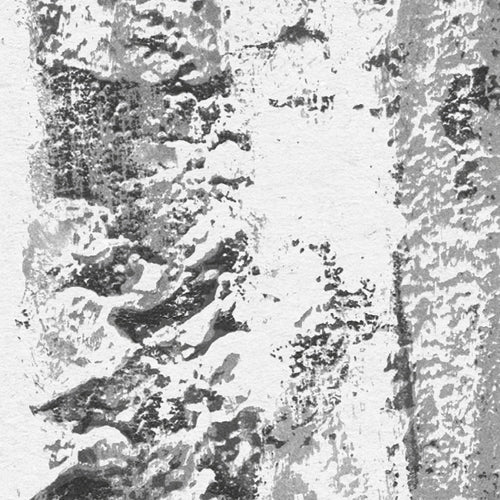 Digitaldruck Vlies Fototapete | Lustres Lapland | 200 x 250 cm