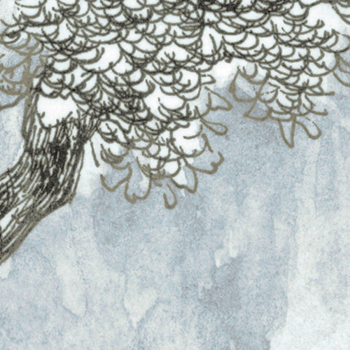 Komar NEU | Digitaldruck Vlies Fototapete - Rising Roots - Größe 200 x 250 cm