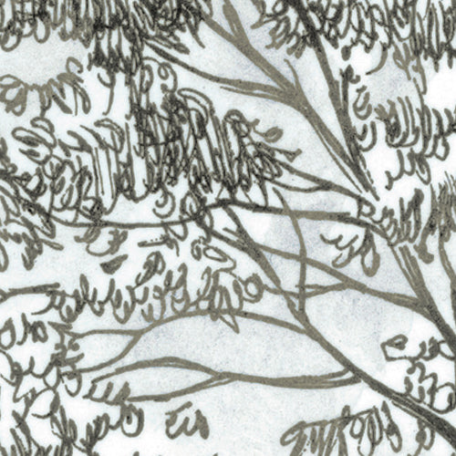 Komar NEU | Digitaldruck Vlies Fototapete - Rising Roots - Größe 200 x 250 cm