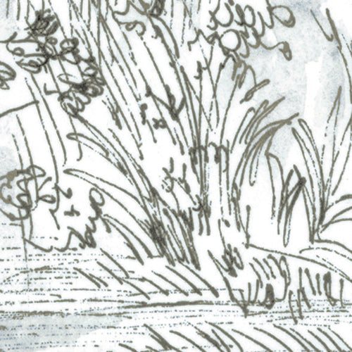 Komar NEU | Digitaldruck Vlies Fototapete - Rising Roots - Größe 200 x 250 cm