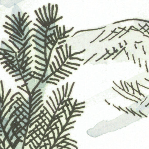 Komar NEU | Digitaldruck Vlies Fototapete - Forest Fairy - Größe 200 x 250 cm