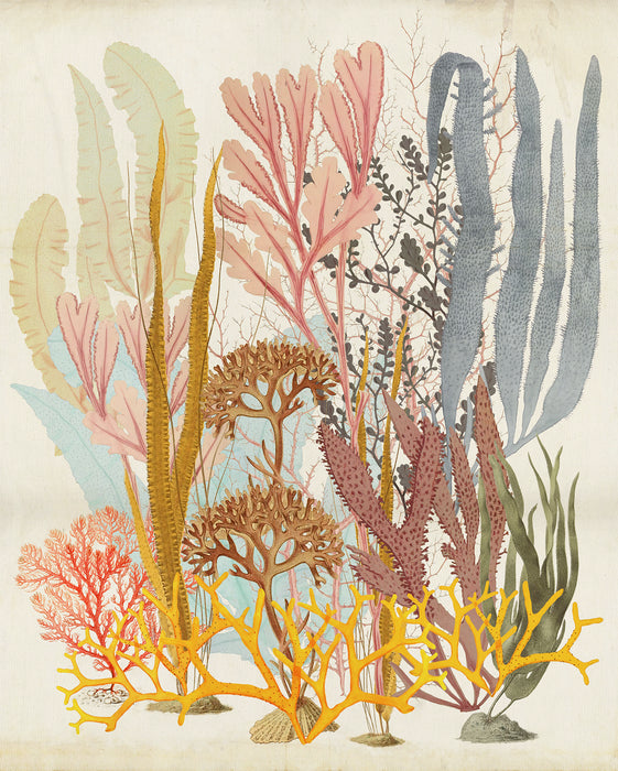 Digitaldruck Vlies Fototapete | Catchy Corals | 200 x 250 cm