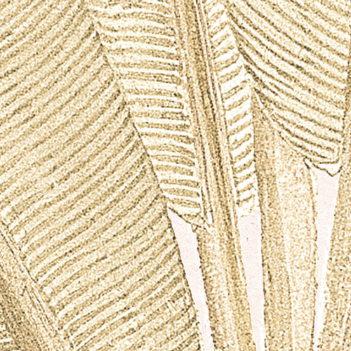 Komar NEU | Digitaldruck Vlies Fototapete - Mirror Maison - Größe 200 x 250 cm