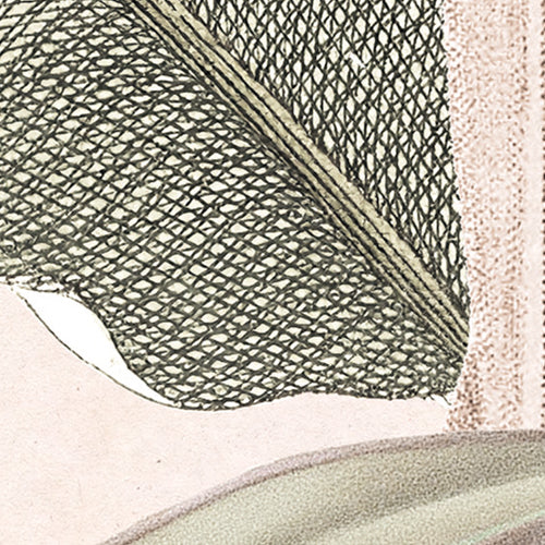 Komar NEU | Digitaldruck Vlies Fototapete - Mirror Maison - Größe 200 x 250 cm