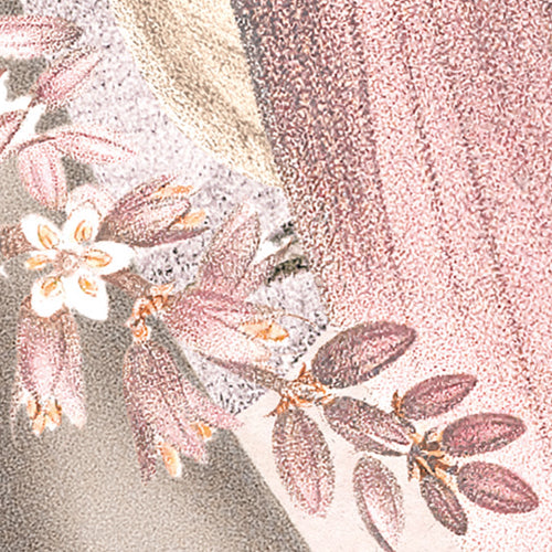 Komar NEU | Digitaldruck Vlies Fototapete - Mirror Maison - Größe 200 x 250 cm