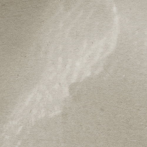 Komar NEU | Digitaldruck Vlies Fototapete - Soulful Sanctuary - Größe 300 x 250 cm