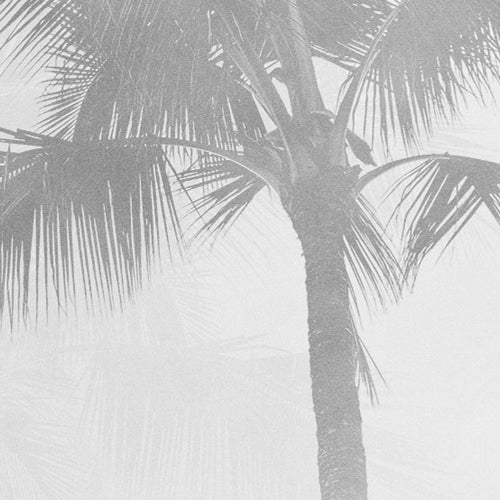 Komar NEU | Digitaldruck Vlies Fototapete - Salty Sea - Größe 300 x 250 cm