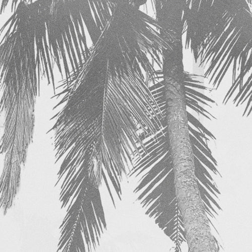 Digitaldruck Vlies Fototapete | Salty Sea | 300 x 250 cm