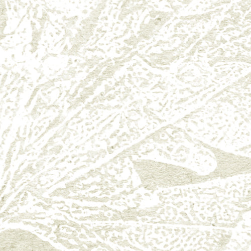 Komar NEU | Digitaldruck Vlies Fototapete - Healing Harvest - Größe 300 x 250 cm