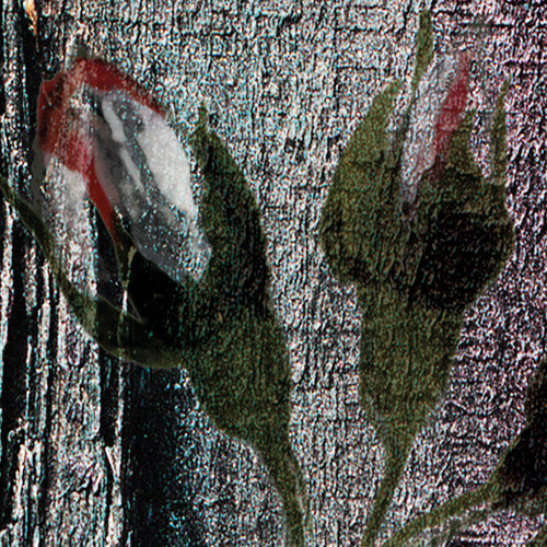 Komar NEU | Digitaldruck Vlies Fototapete - Grande Giardino - Größe 300 x 250 cm