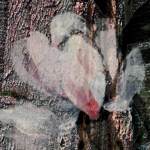 Komar NEU | Digitaldruck Vlies Fototapete - Grande Giardino - Größe 300 x 250 cm