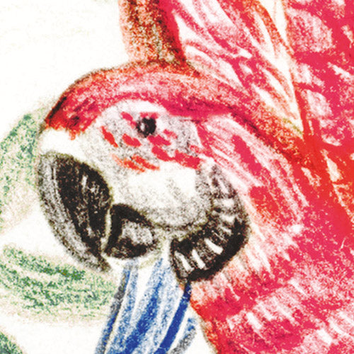 Komar NEU | Digitaldruck Vlies Fototapete - Wild Wonderland - Größe 300 x 250 cm