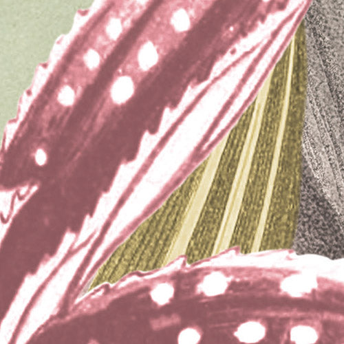 Komar NEU | Digitaldruck Vlies Fototapete - Marvelous Martha - Größe 300 x 250 cm