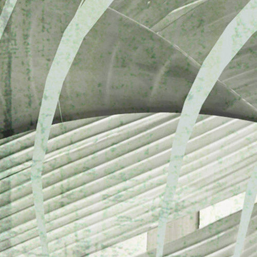 Komar NEU | Digitaldruck Vlies Fototapete - Botanical Boho - Größe 400 x 250 cm