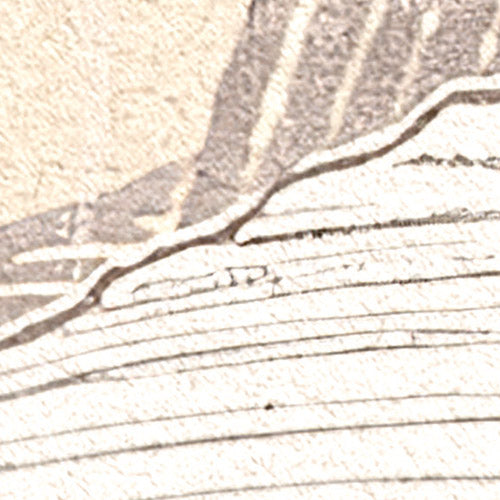 Digitaldruck Vlies Fototapete | Summery Spot | 400 x 250 cm