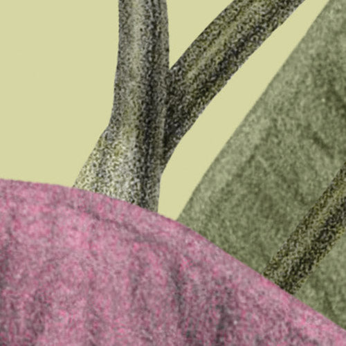 Komar NEU | Digitaldruck Vlies Fototapete - Timeless Temple - Größe 400 x 250 cm