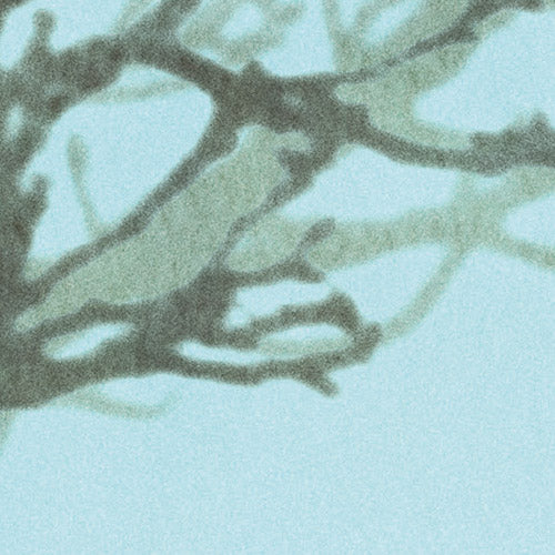 Digitaldruck Vlies Fototapete | Whispering Woods | 400 x 250 cm