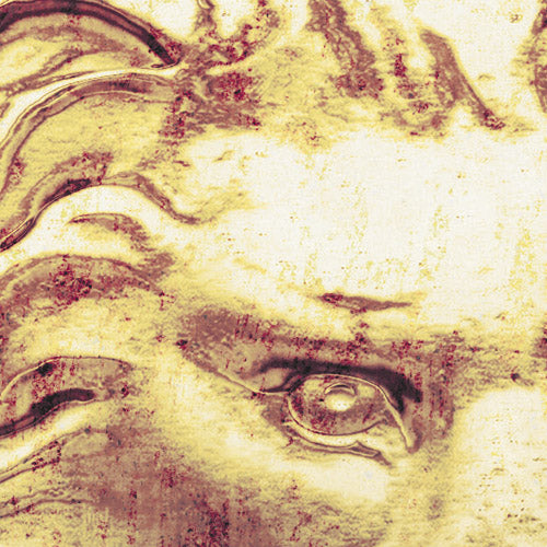 Digitaldruck Vlies Fototapete | Roaring Royal | 400 x 250 cm