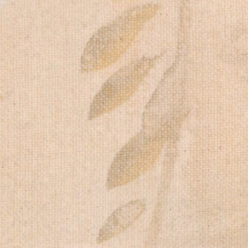 Komar NEU | Digitaldruck Vlies Fototapete - Coco Champagne - Größe 400 x 250 cm