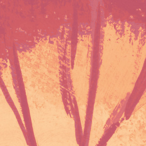 Komar NEU | Digitaldruck Vlies Fototapete - Luxury Labyrinth - Größe 400 x 250 cm