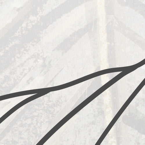 Komar NEU | Digitaldruck Vlies Fototapete - Linierte Lilien - Größe 400 x 250 cm