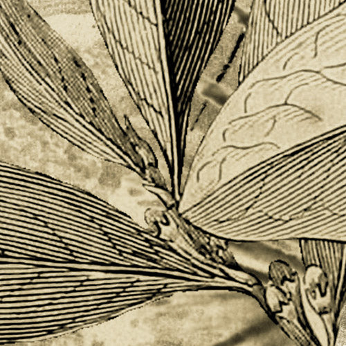 Komar NEU | Digitaldruck Vlies Fototapete - Adventure Awaits - Größe 400 x 250 cm