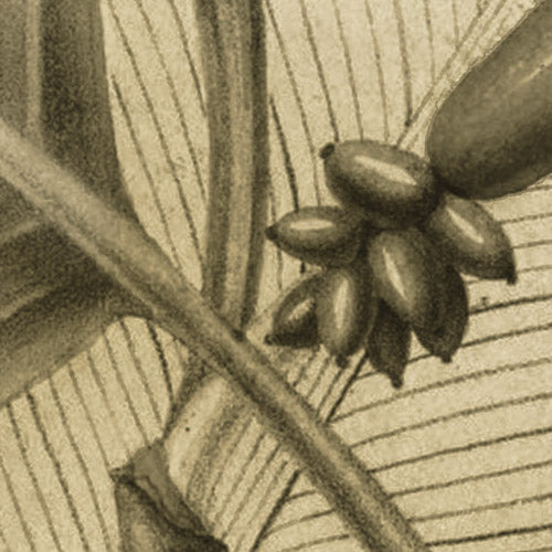 Komar NEU | Digitaldruck Vlies Fototapete - Adventure Awaits - Größe 400 x 250 cm