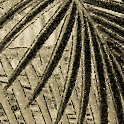 Komar NEU | Digitaldruck Vlies Fototapete - Adventure Awaits - Größe 400 x 250 cm