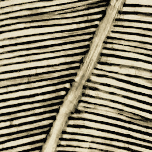 Komar NEU | Digitaldruck Vlies Fototapete - Adventure Awaits - Größe 400 x 250 cm